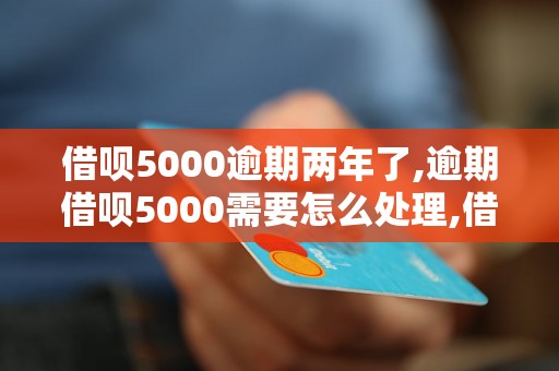 借呗5000逾期两年了,逾期借呗5000需要怎么处理,借呗5000逾期后果严重吗