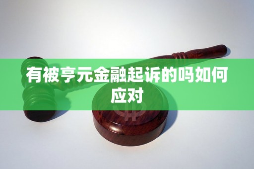 有被亨元金融起诉的吗如何应对