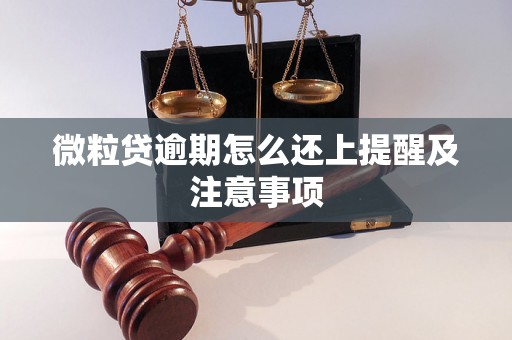 微粒贷逾期怎么还上提醒及注意事项