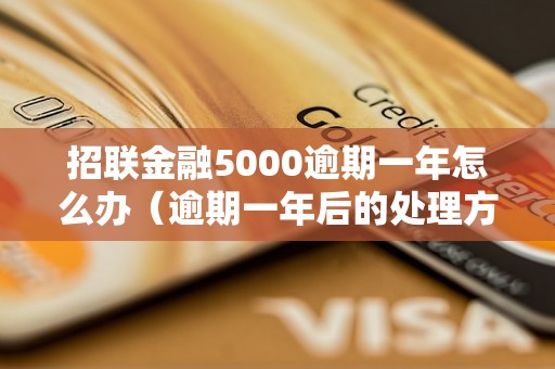 招联金融5000逾期一年怎么办（逾期一年后的处理方式）