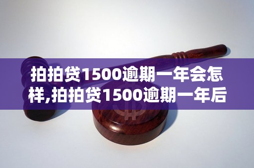 拍拍贷1500逾期一年会怎样,拍拍贷1500逾期一年后果