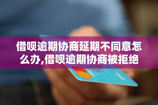 借呗逾期协商延期不同意怎么办,借呗逾期协商被拒绝应该怎么处理