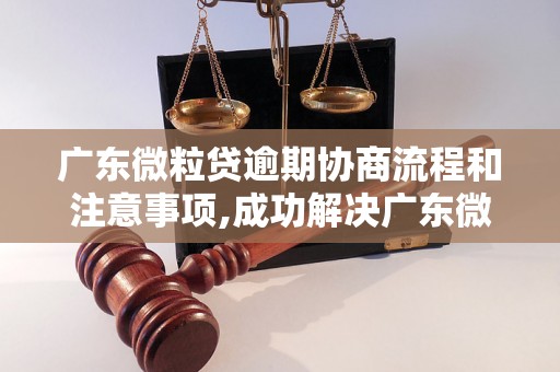 广东微粒贷逾期协商流程和注意事项,成功解决广东微粒贷逾期问题的经验分享