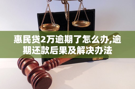 惠民贷2万逾期了怎么办,逾期还款后果及解决办法