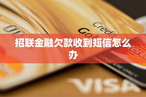 招联金融欠款收到短信怎么办