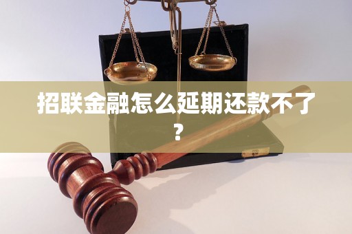 招联金融怎么延期还款不了？