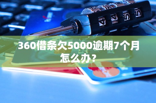 360借条欠5000逾期7个月怎么办？