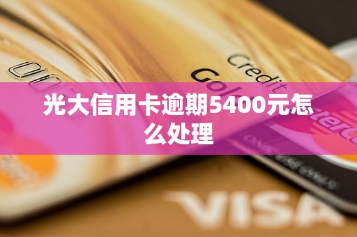 光大信用卡逾期5400元怎么处理