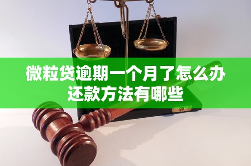 微粒贷逾期一个月了怎么办还款方法有哪些