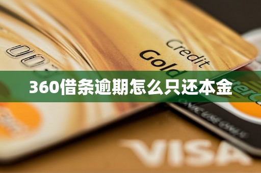 360借条逾期怎么只还本金