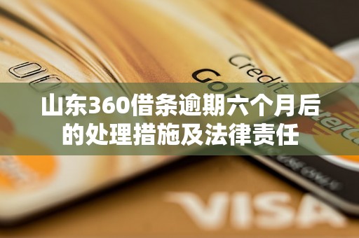 山东360借条逾期六个月后的处理措施及法律责任