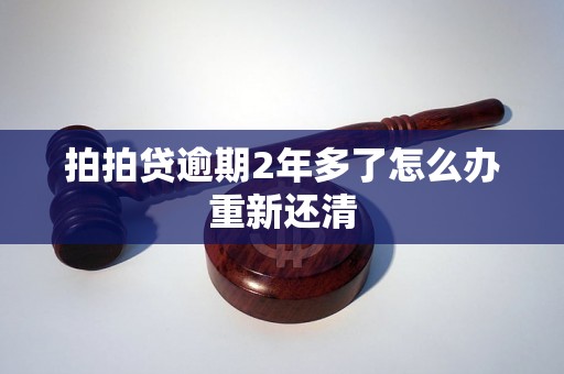 拍拍贷逾期2年多了怎么办重新还清