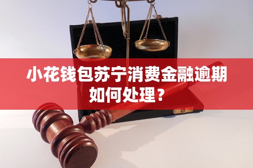 小花钱包苏宁消费金融逾期如何处理？