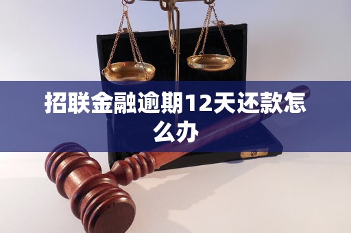 招联金融逾期12天还款怎么办