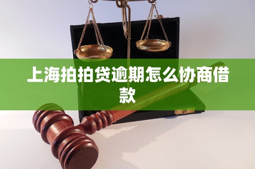 上海拍拍贷逾期怎么协商借款