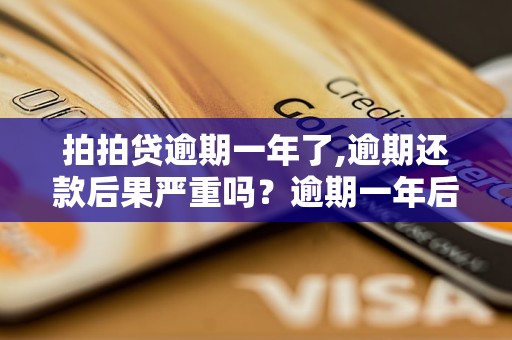 拍拍贷逾期一年了,逾期还款后果严重吗？逾期一年后拍拍贷会怎么处理？