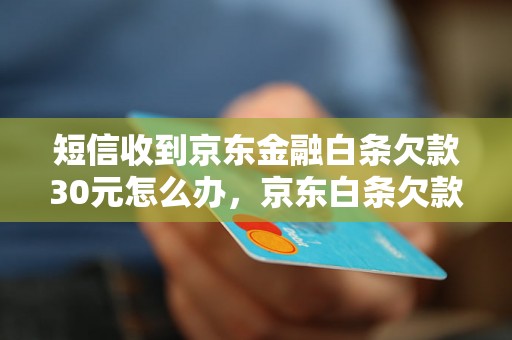 短信收到京东金融白条欠款30元怎么办，京东白条欠款30元应该如何处理