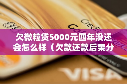 欠微粒贷5000元四年没还会怎么样（欠款还款后果分析）