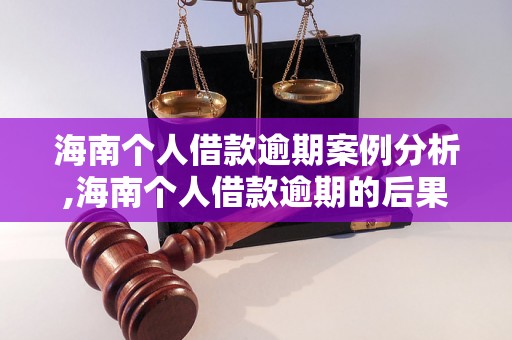 海南个人借款逾期案例分析,海南个人借款逾期的后果和处理办法