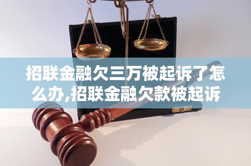 招联金融欠三万被起诉了怎么办,招联金融欠款被起诉应该如何应对