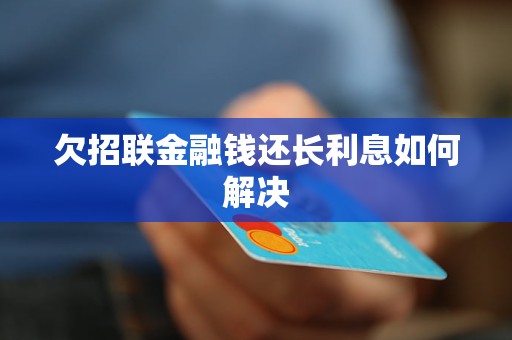 欠招联金融钱还长利息如何解决