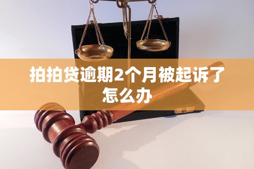 拍拍贷逾期2个月被起诉了怎么办