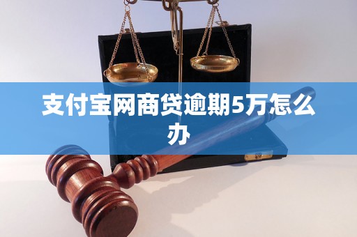 支付宝网商贷逾期5万怎么办