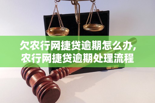 欠农行网捷贷逾期怎么办,农行网捷贷逾期处理流程