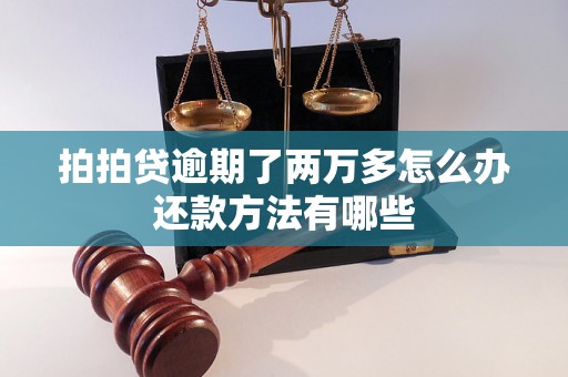 拍拍贷逾期了两万多怎么办还款方法有哪些