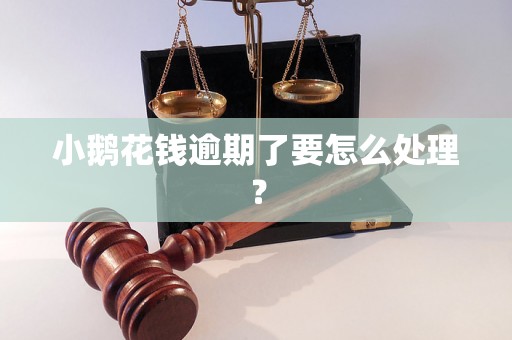 小鹅花钱逾期了要怎么处理？