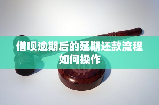 借呗逾期后的延期还款流程如何操作