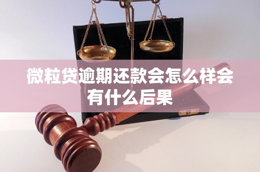 微粒贷逾期还款会怎么样会有什么后果