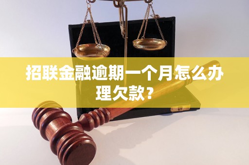 招联金融逾期一个月怎么办理欠款？