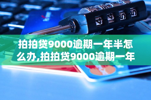 拍拍贷9000逾期一年半怎么办,拍拍贷9000逾期一年半有什么后果