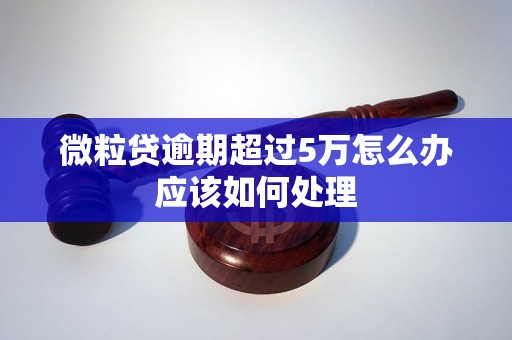 微粒贷逾期超过5万怎么办应该如何处理