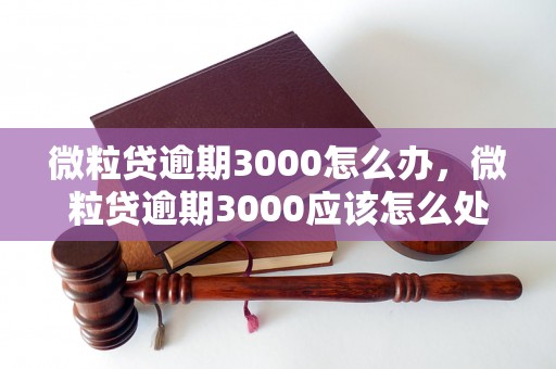 微粒贷逾期3000怎么办，微粒贷逾期3000应该怎么处理