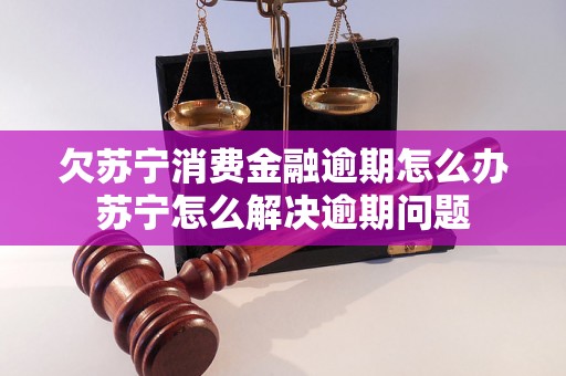 欠苏宁消费金融逾期怎么办苏宁怎么解决逾期问题