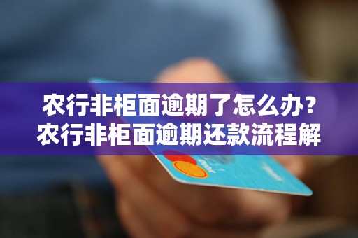 农行非柜面逾期了怎么办？农行非柜面逾期还款流程解析