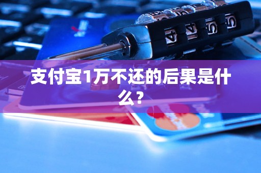 支付宝1万不还的后果是什么？