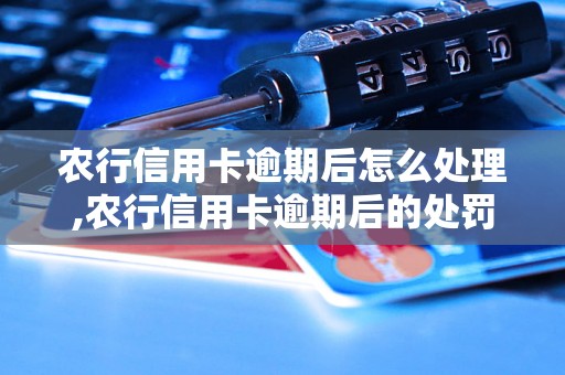 农行信用卡逾期后怎么处理,农行信用卡逾期后的处罚措施