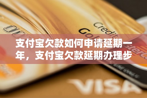 支付宝欠款如何申请延期一年，支付宝欠款延期办理步骤