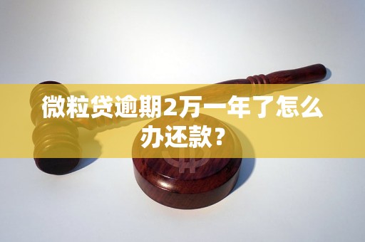 微粒贷逾期2万一年了怎么办还款？