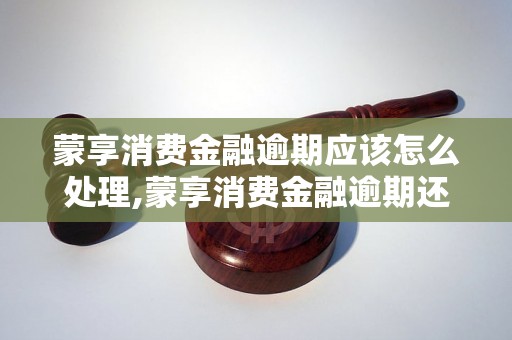 蒙享消费金融逾期应该怎么处理,蒙享消费金融逾期还款方法