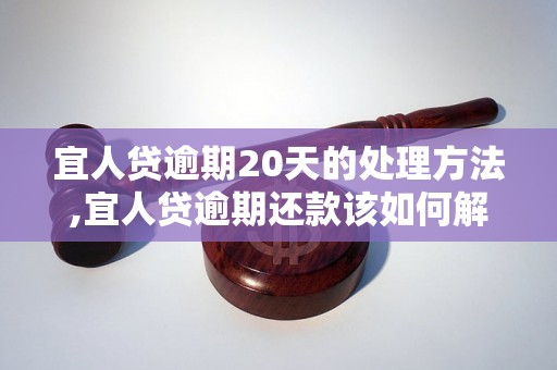 宜人贷逾期20天的处理方法,宜人贷逾期还款该如何解决