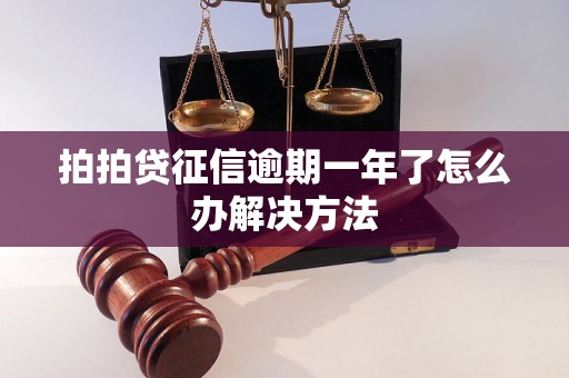 拍拍贷征信逾期一年了怎么办解决方法