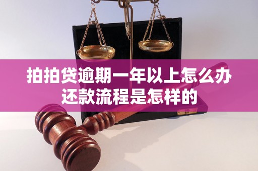 拍拍贷逾期一年以上怎么办还款流程是怎样的