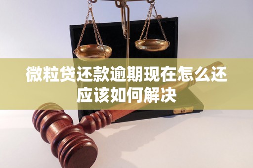 微粒贷还款逾期现在怎么还应该如何解决