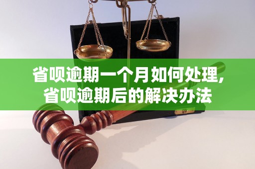 省呗逾期一个月如何处理,省呗逾期后的解决办法