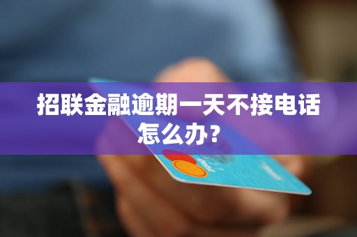 招联金融逾期一天不接电话怎么办？