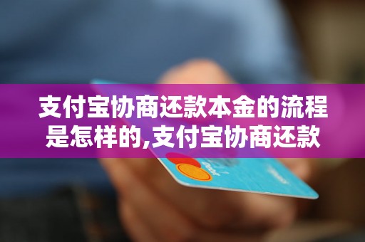 支付宝协商还款本金的流程是怎样的,支付宝协商还款本金成功案例